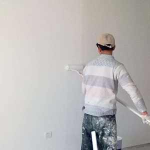 Wall & Surface Sanitization