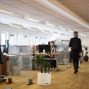 Office Workspace Refresh